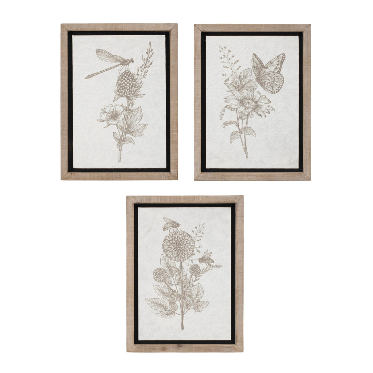 Framed-floral-insect-print-(set-of-3)-Wall-Art
