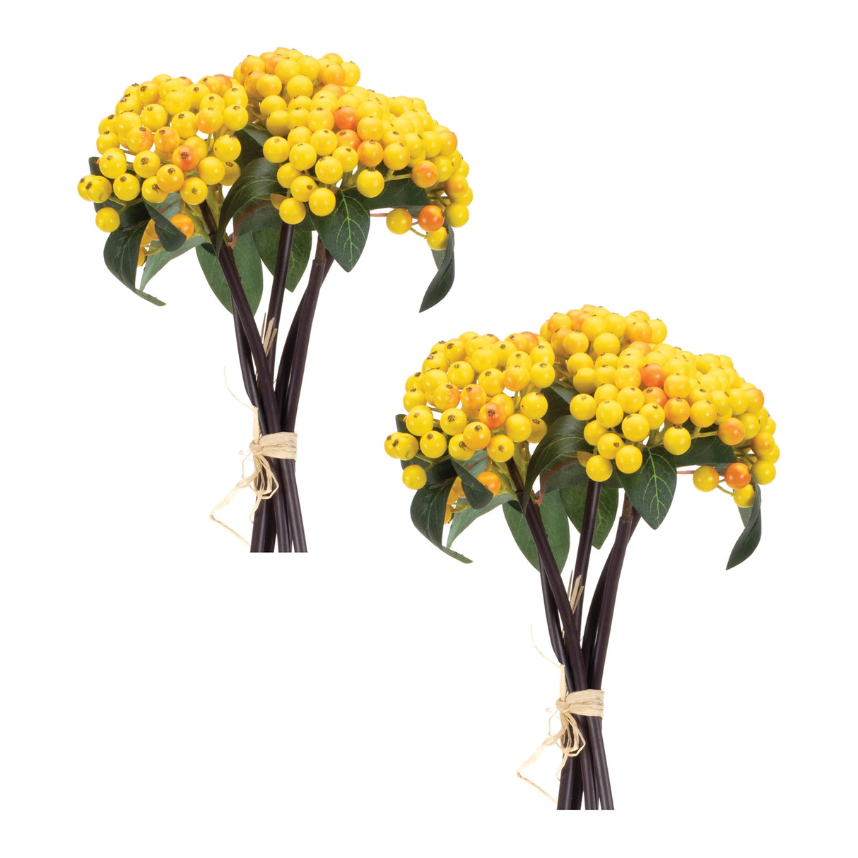 Yellow berry bundle (set of 2)