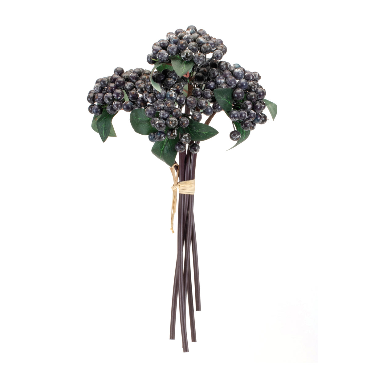 Blue Berry Bundle (Set of 2)