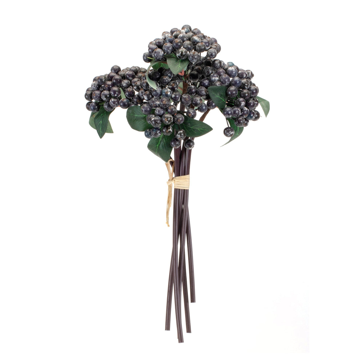 Blue Berry Bundle (Set of 2)