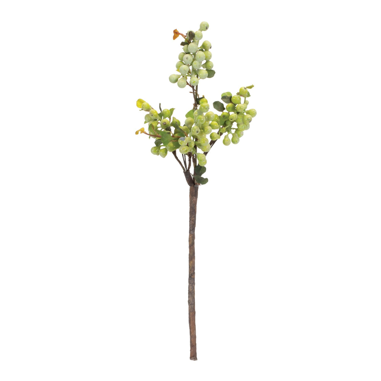 Green Berry Foliage Spray (Set of 4)