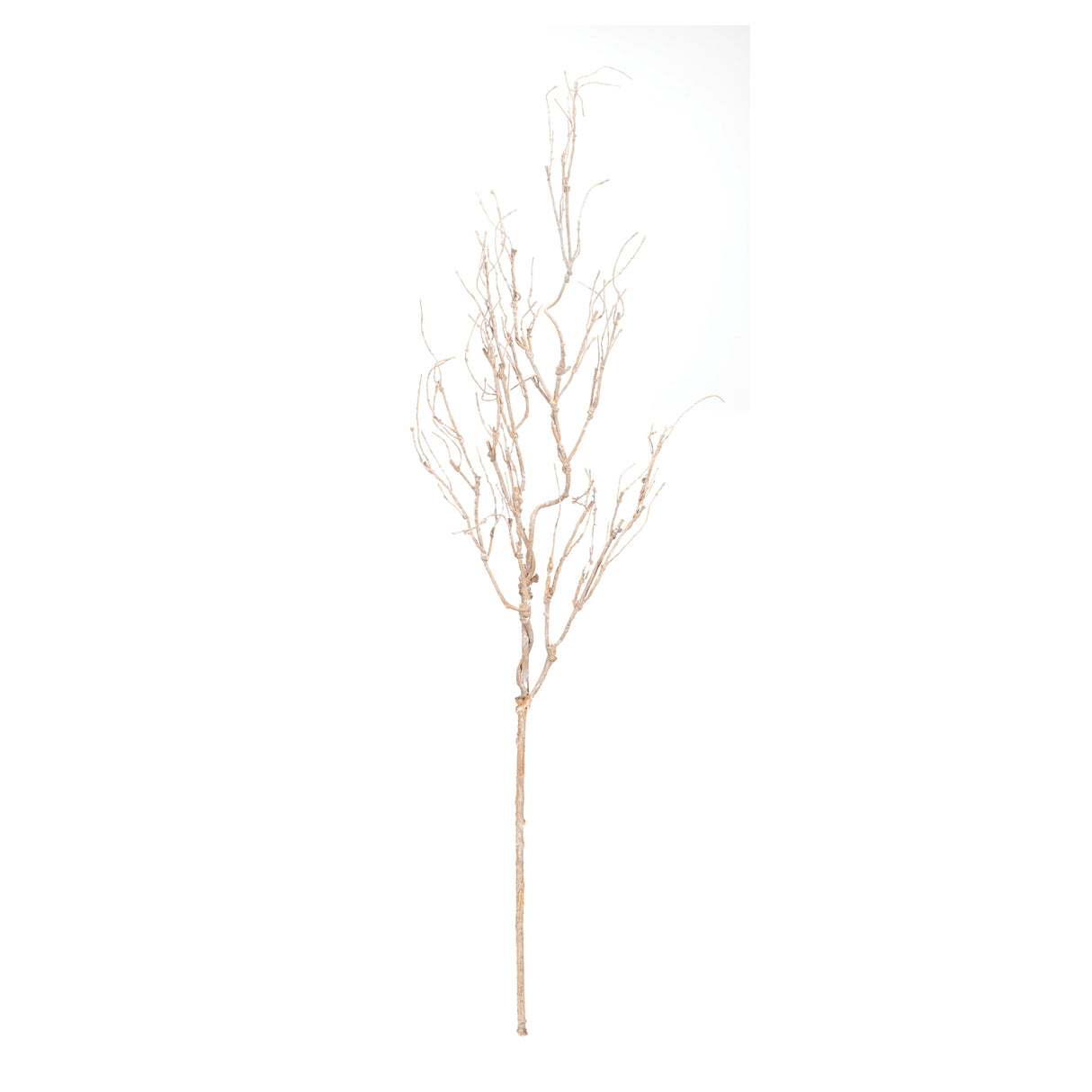 Beige twig branch (set of 6)