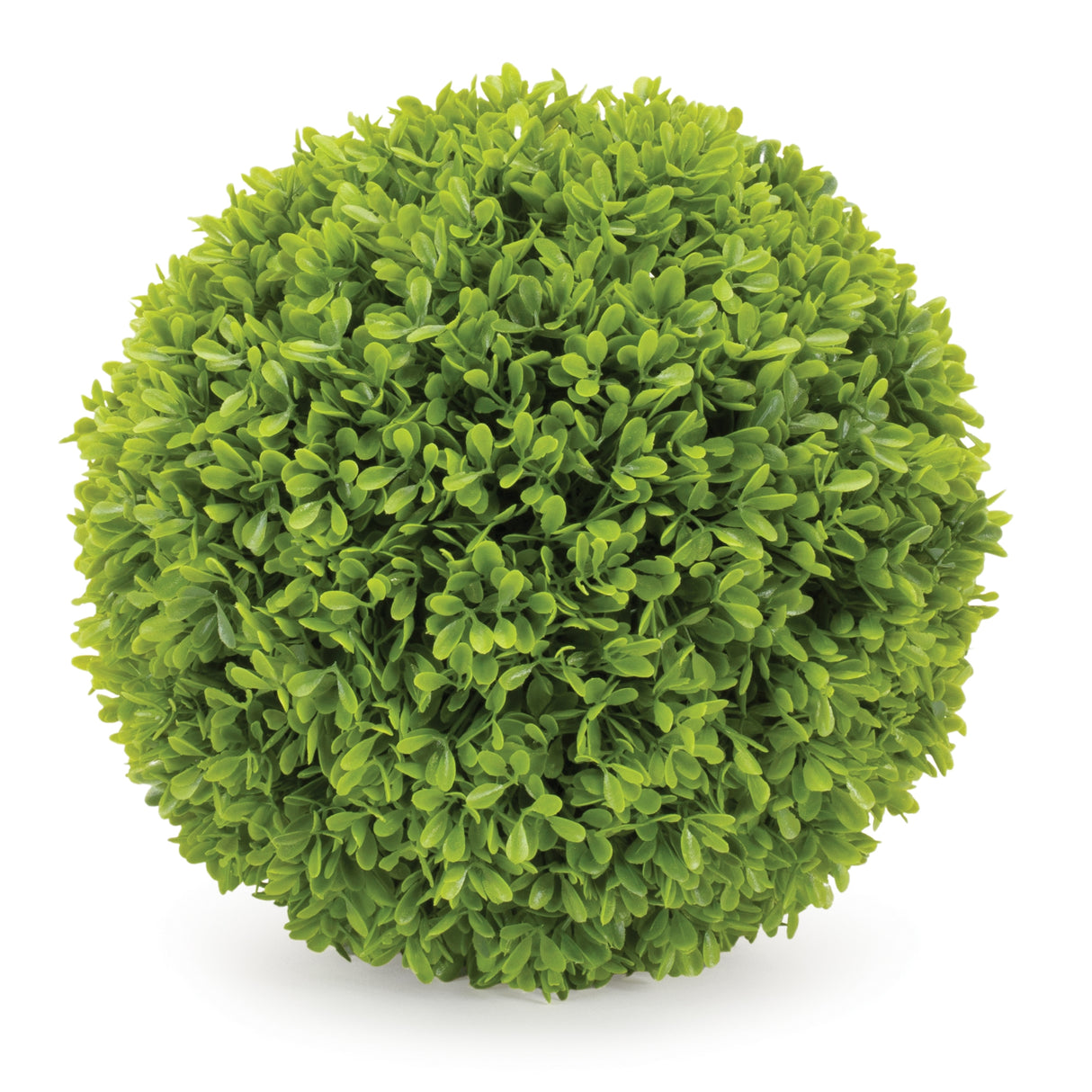 Boxwood foliage orb 9.5"d