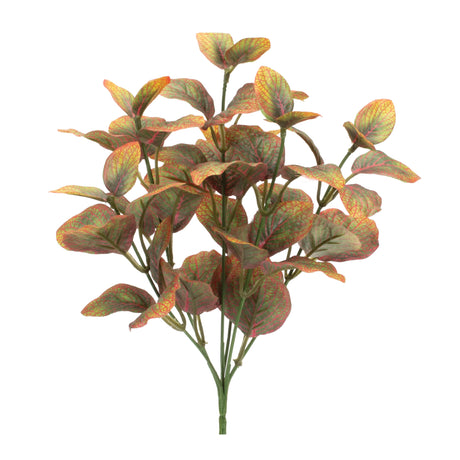 Variegated-foliage-plant-(set-of-6)-Floral-&-Greenery