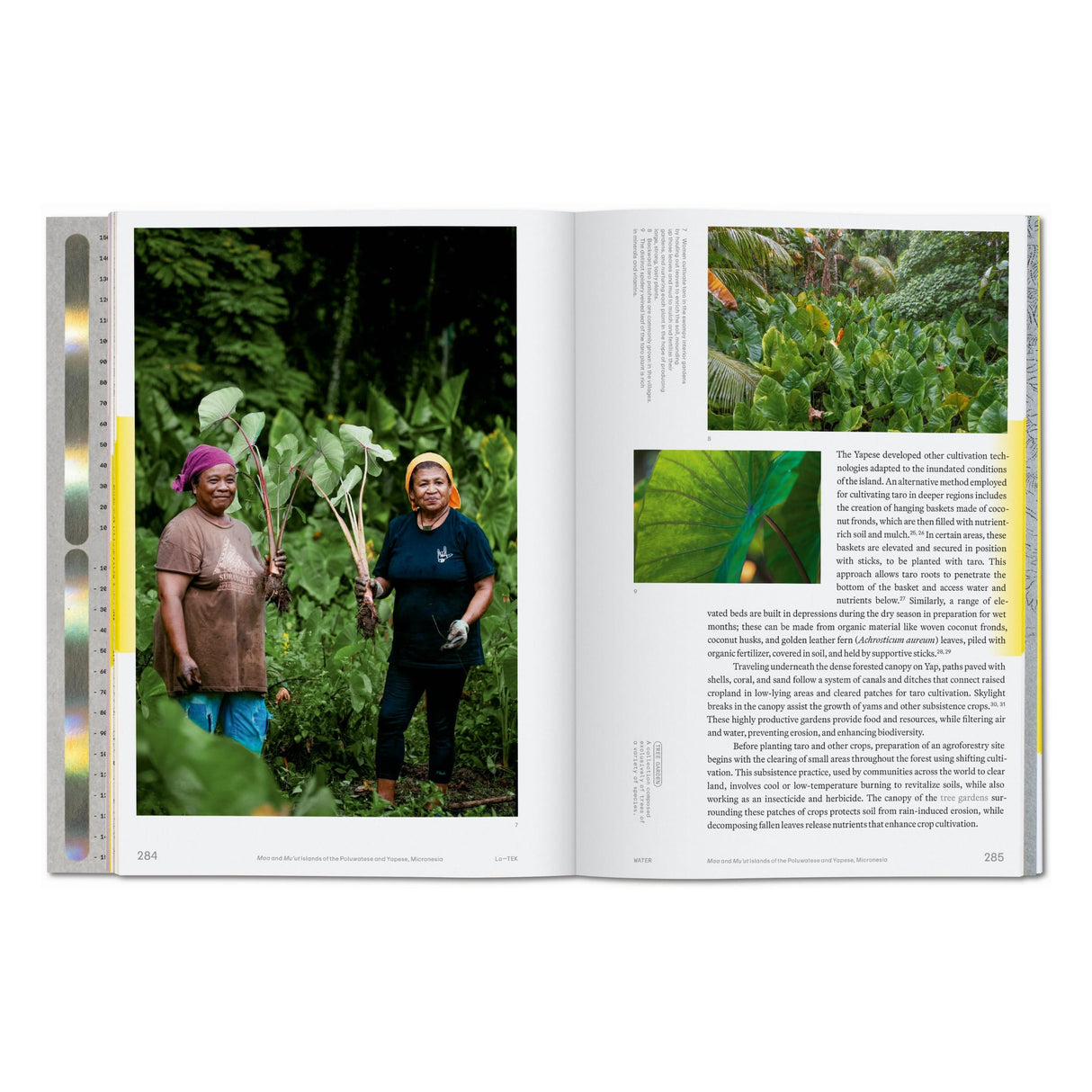 Julia Watson. Lo—TEK. Water. A Field Guide for TEKnology (English)