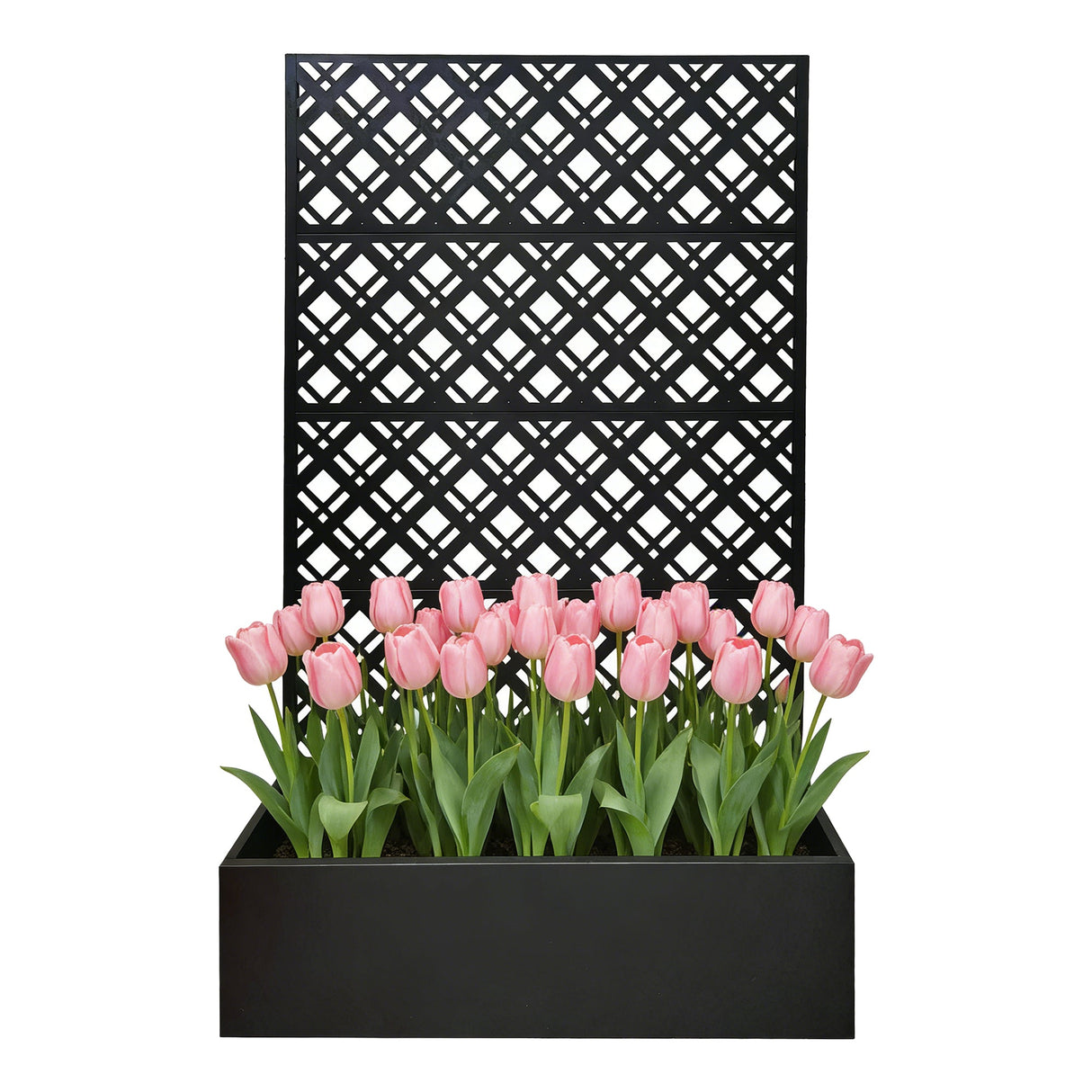 Metal Planter Raised Garden Bed with Trellis