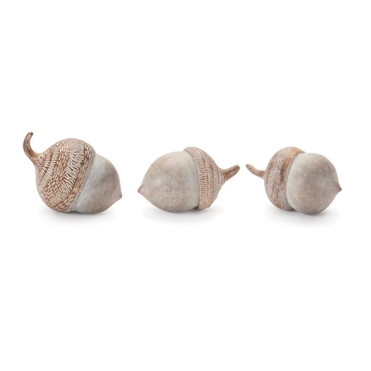 White Washed Etched Acorn (Set of 6)