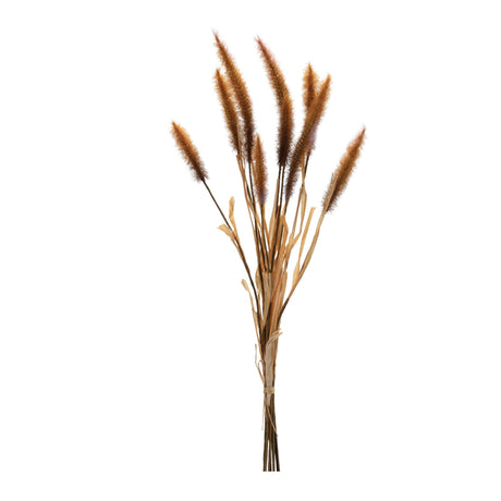 Fall-foxtail-grass-bundle-(set-of-6)-Fall-Decor