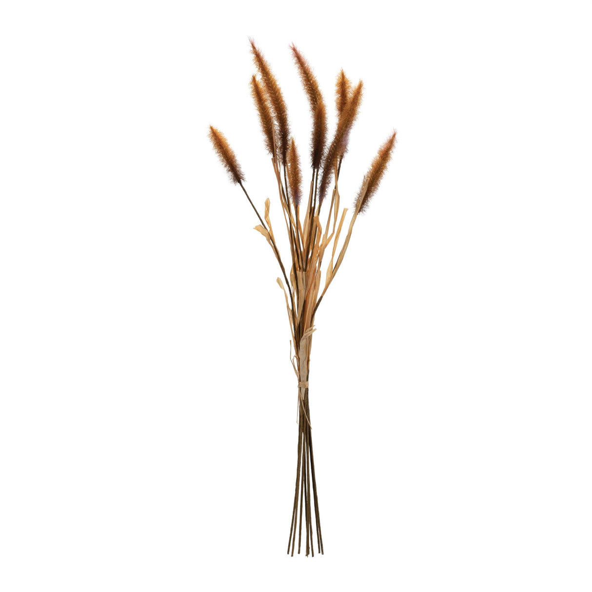 Fall Foxtail Grass Bundle (Set of 6)