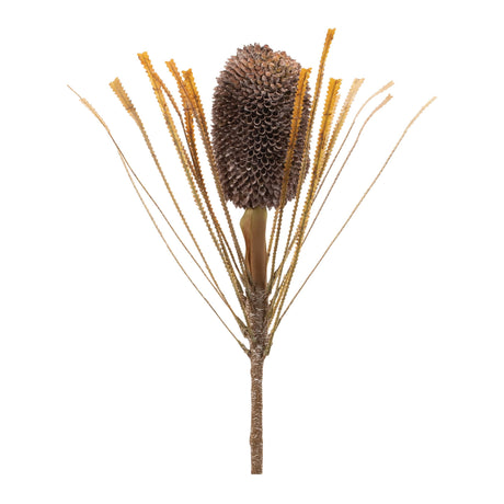 Fall-banksia-pod-stem-(set-of-2)-Artificial-Flowering-Plants