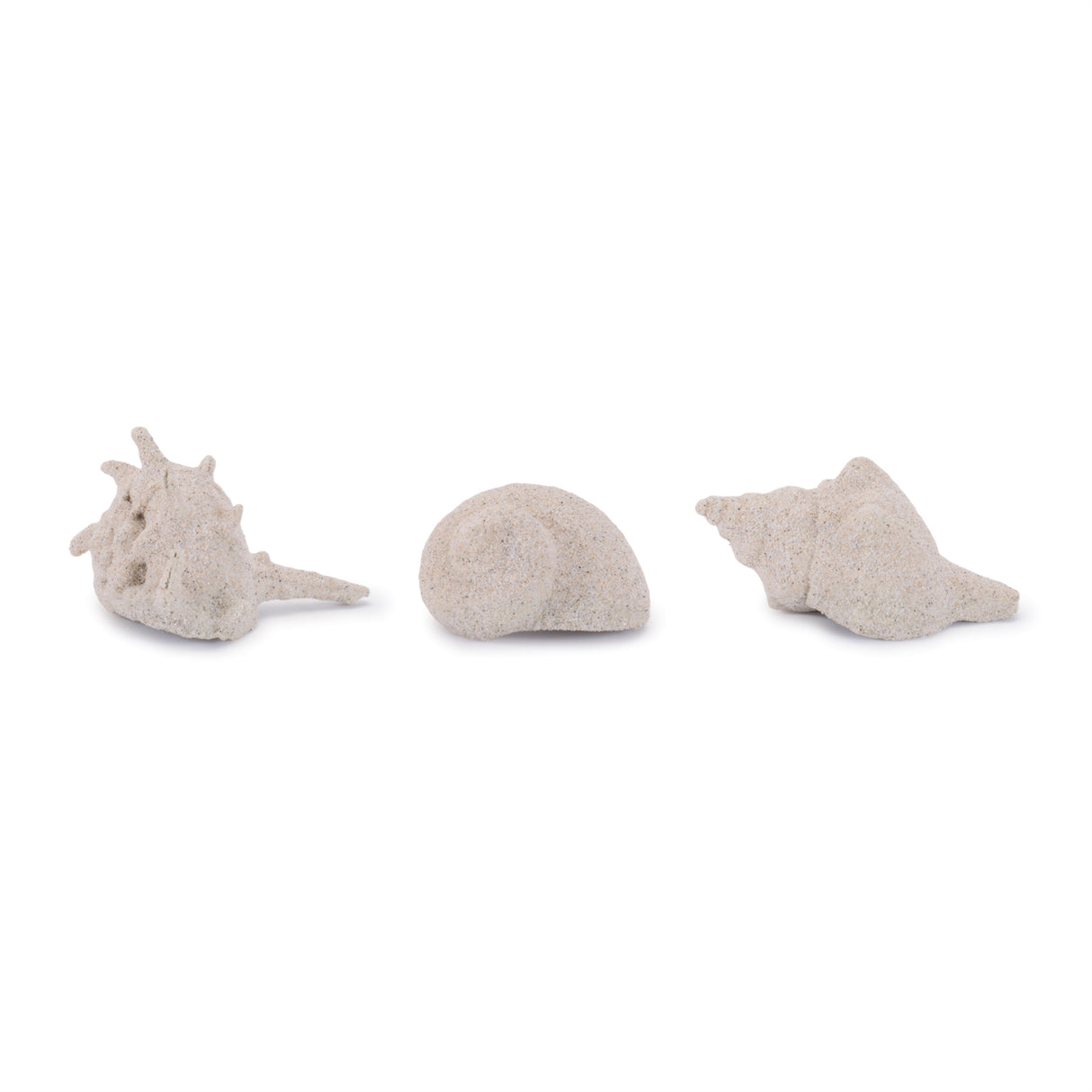 Sea-shell-filler-décor-(set-of-12)-Decorative-Objects