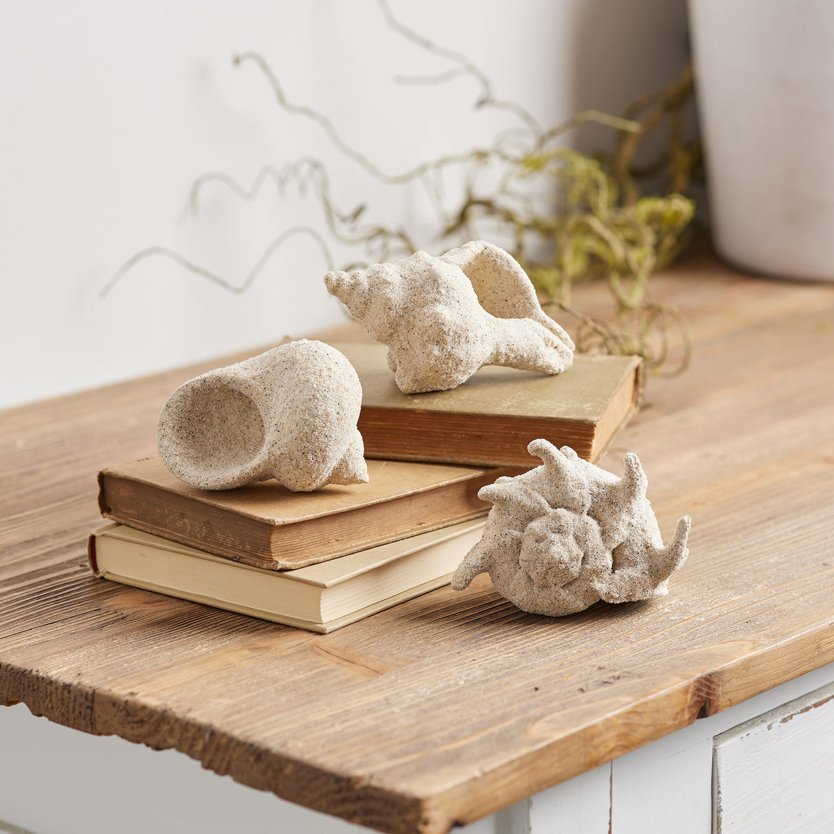 Sea Shell Filler Decor (Set of 12)