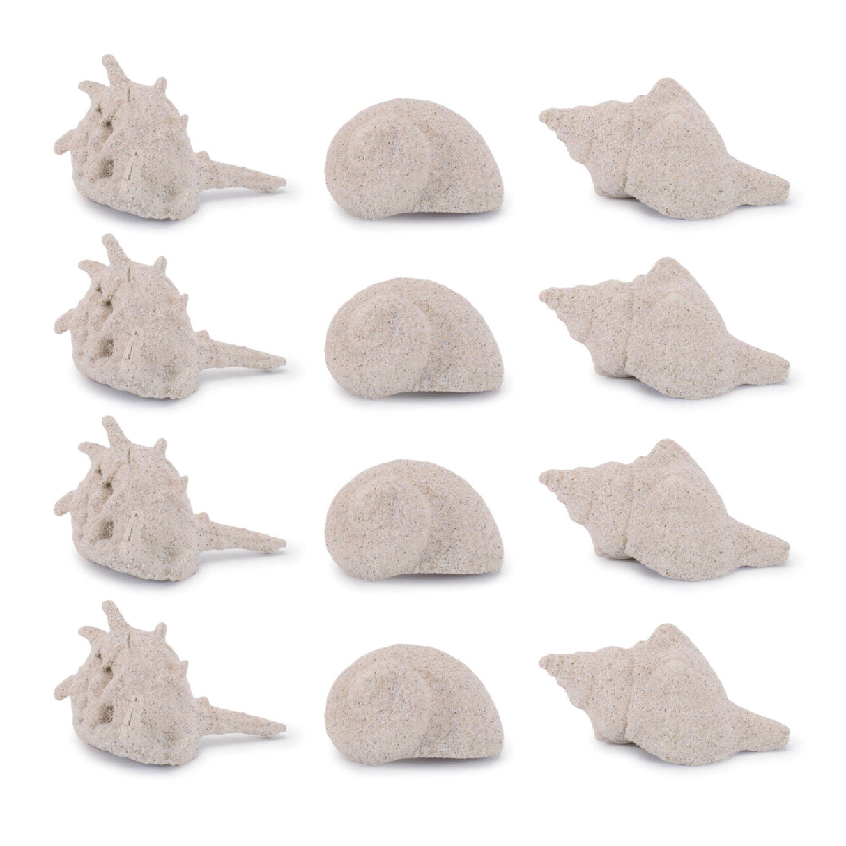 Sea Shell Filler Decor (Set of 12)