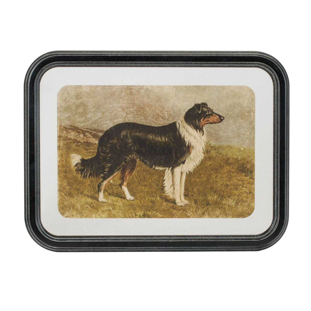 Framed Country Dog Print (Set of 2)