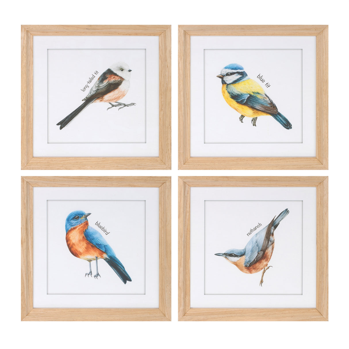 Framed-bird-print-under-glass-(set-of-8)-Wall-Art