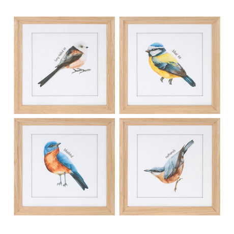 Framed-bird-print-under-glass-(set-of-8)-Wall-Art