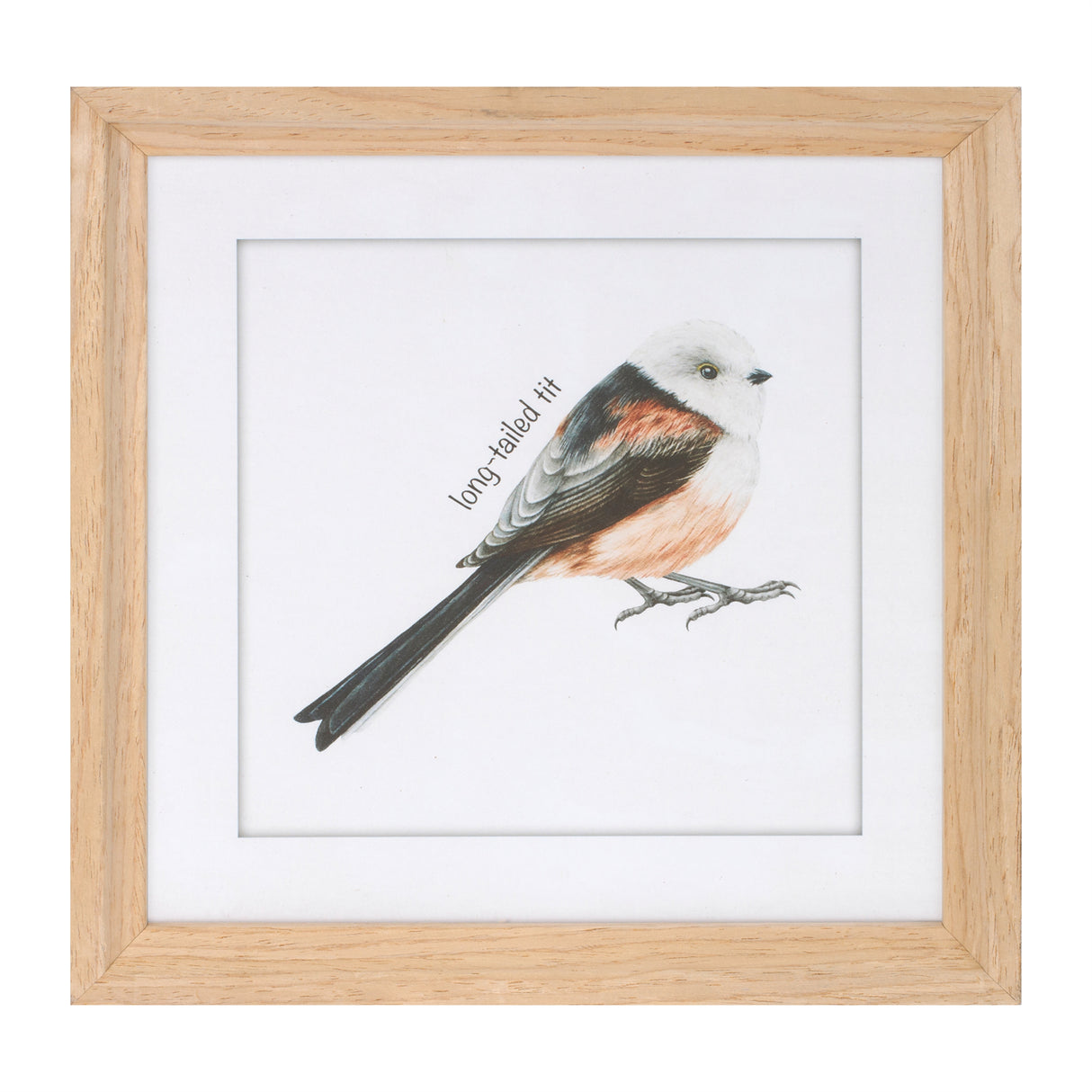 Framed bird print under glass (set of 8)