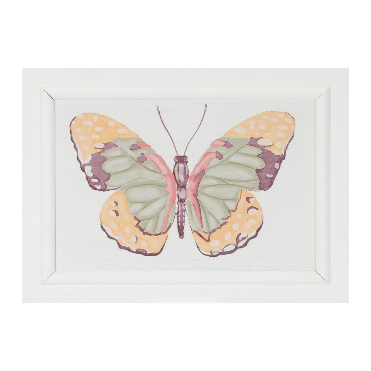 Framed bird and butterfly wall plaque (set of 2)