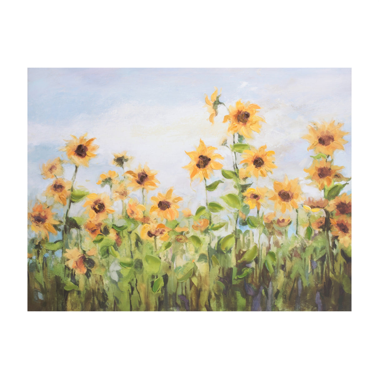 Sunflower field canvas wall art 32"l