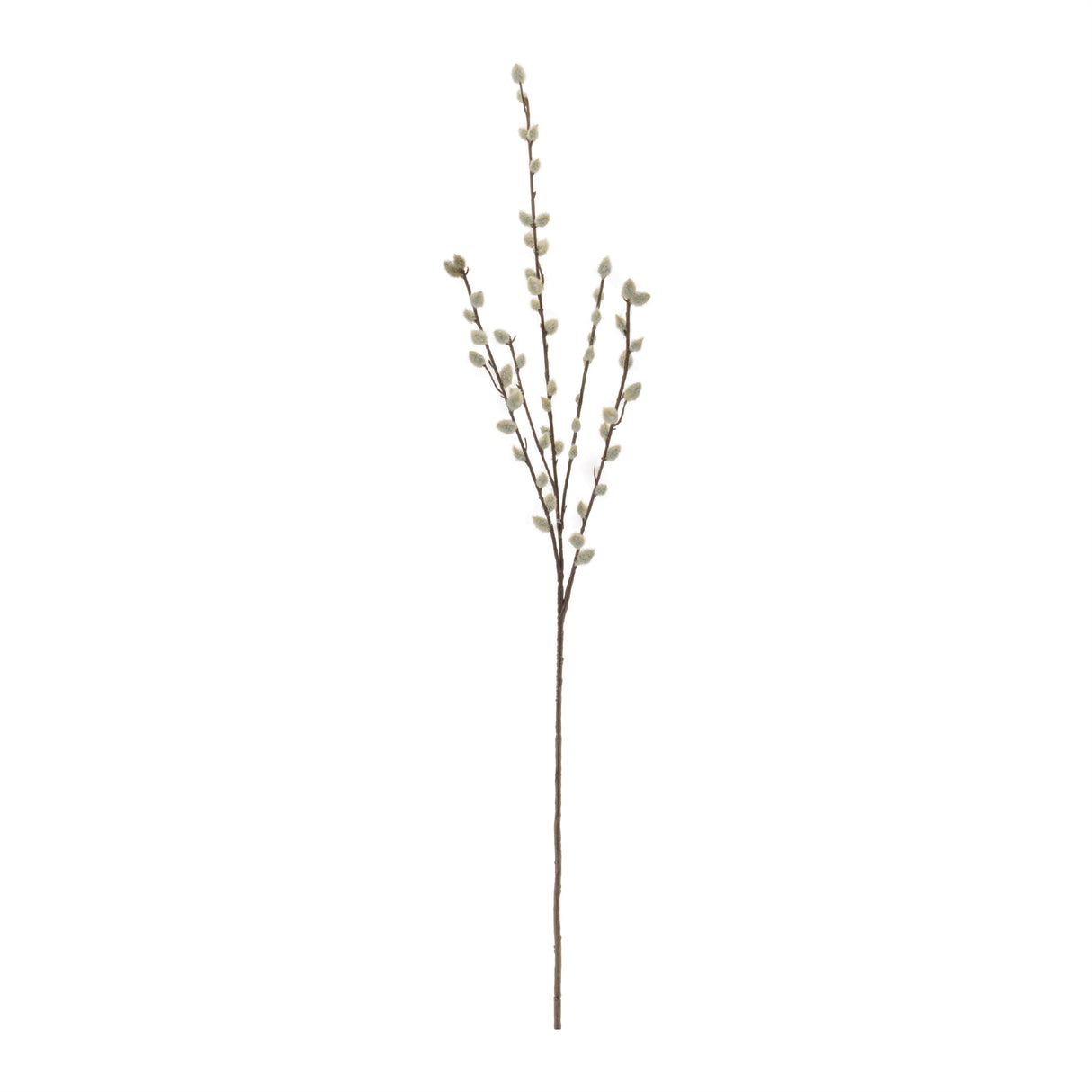 Pussy Willow Twig Spray (Set of 6)