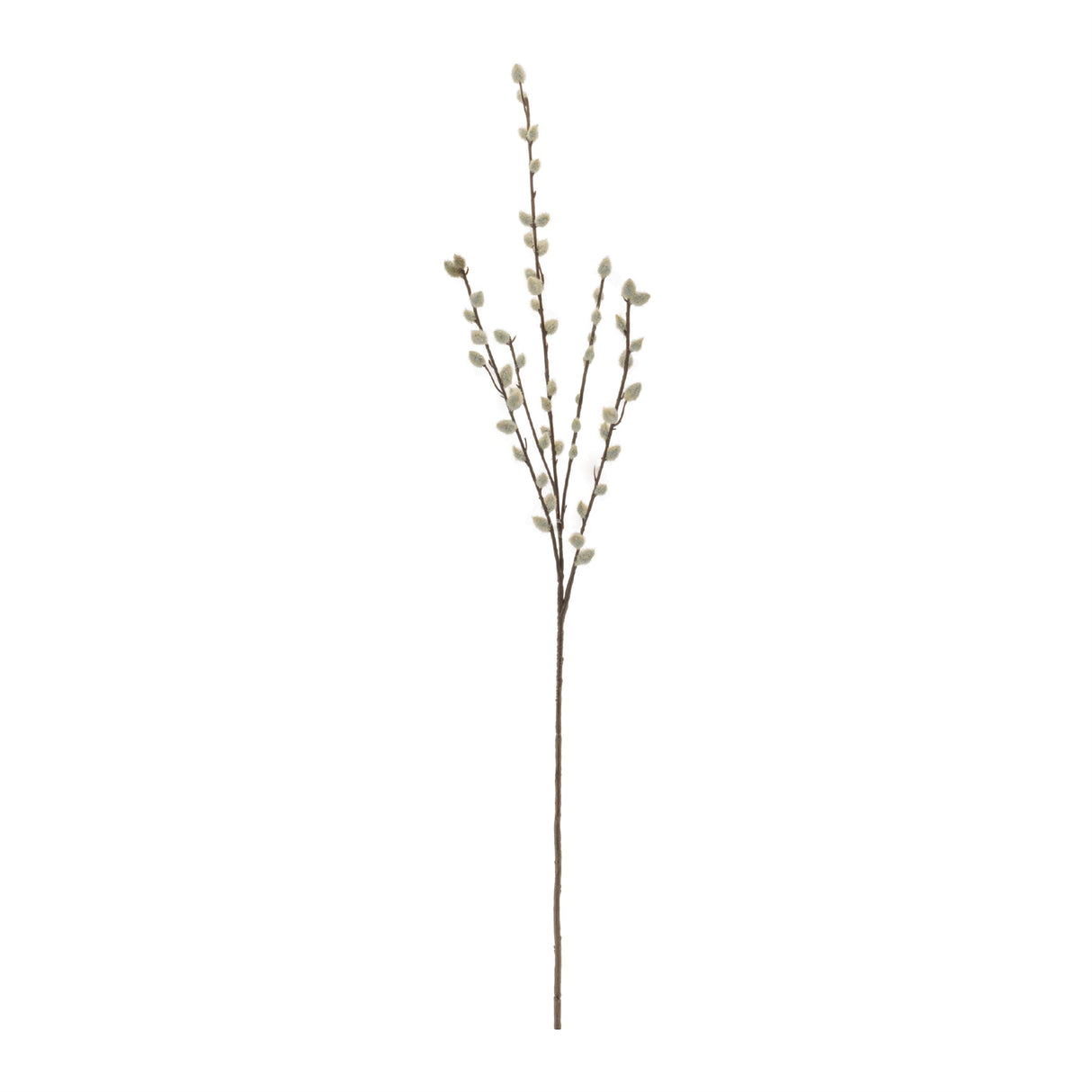 Pussy Willow Twig Spray (Set of 6)