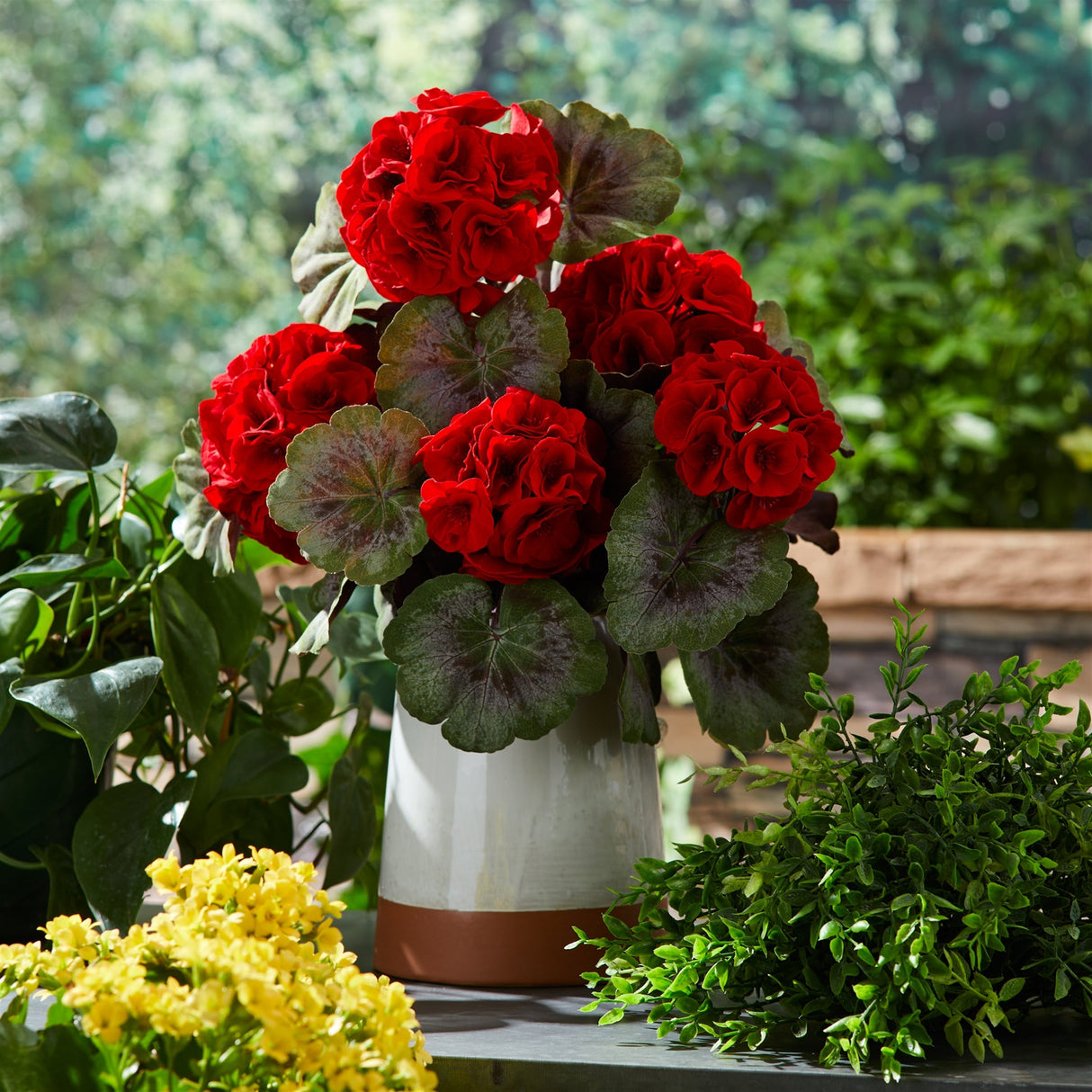 Geranium Floral Bush (Set of 2)