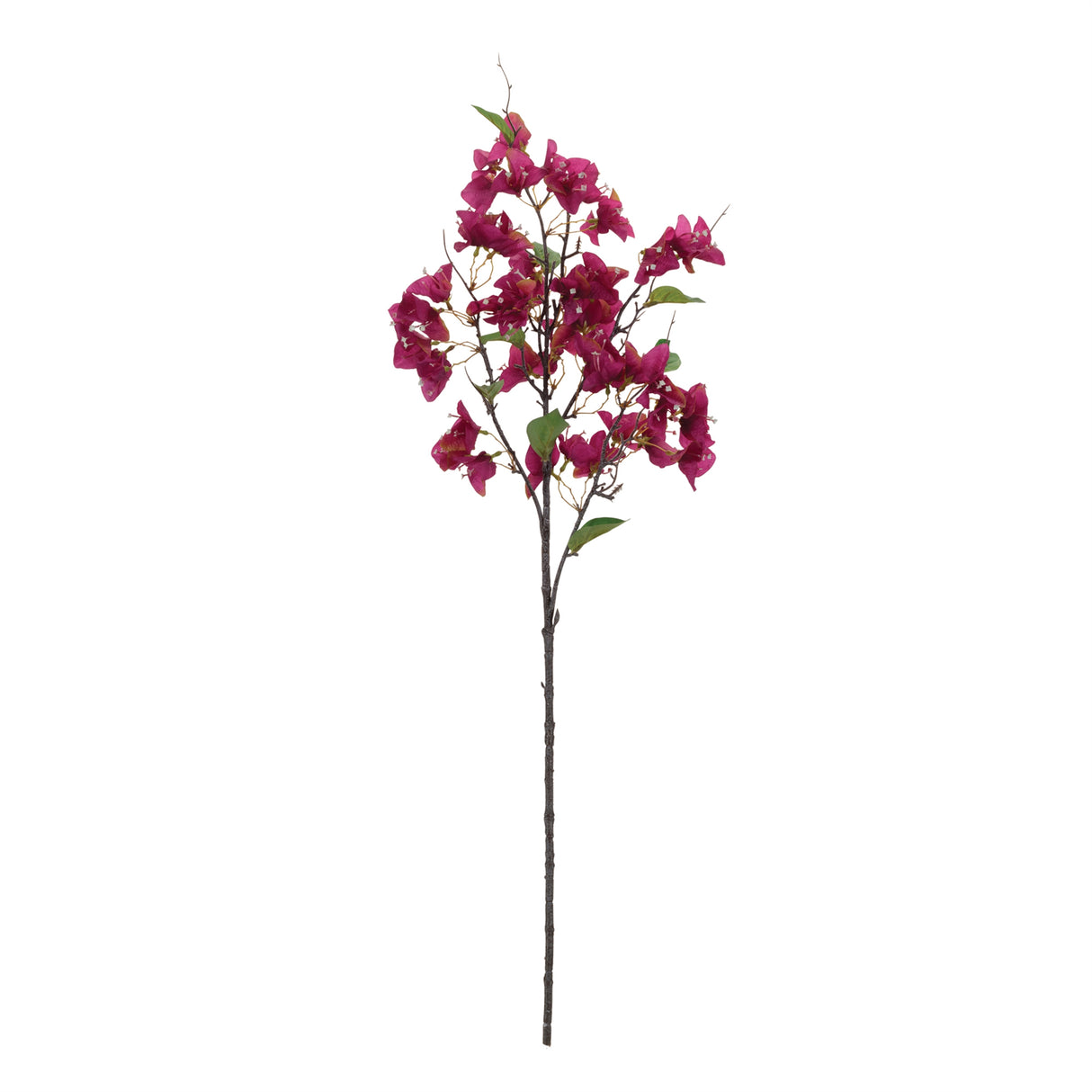 Blossom Floral Branch (Set of 4)