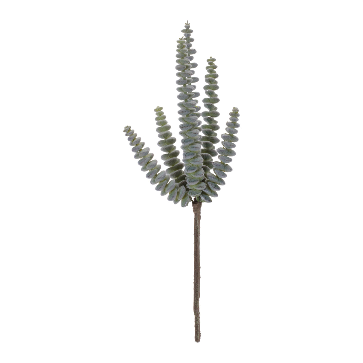 Succulent Plant Pick (Set of 6)