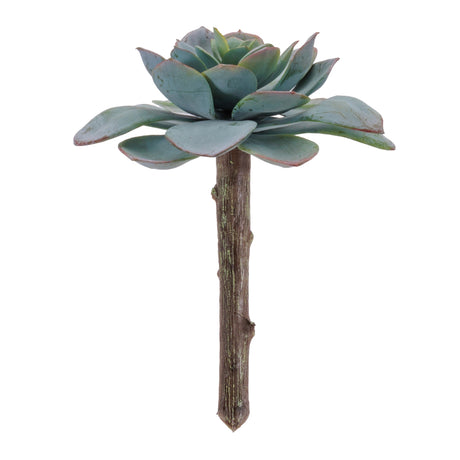 Succulent-plant-pick-(set-of-12)-Artificial-Flowering-Plants