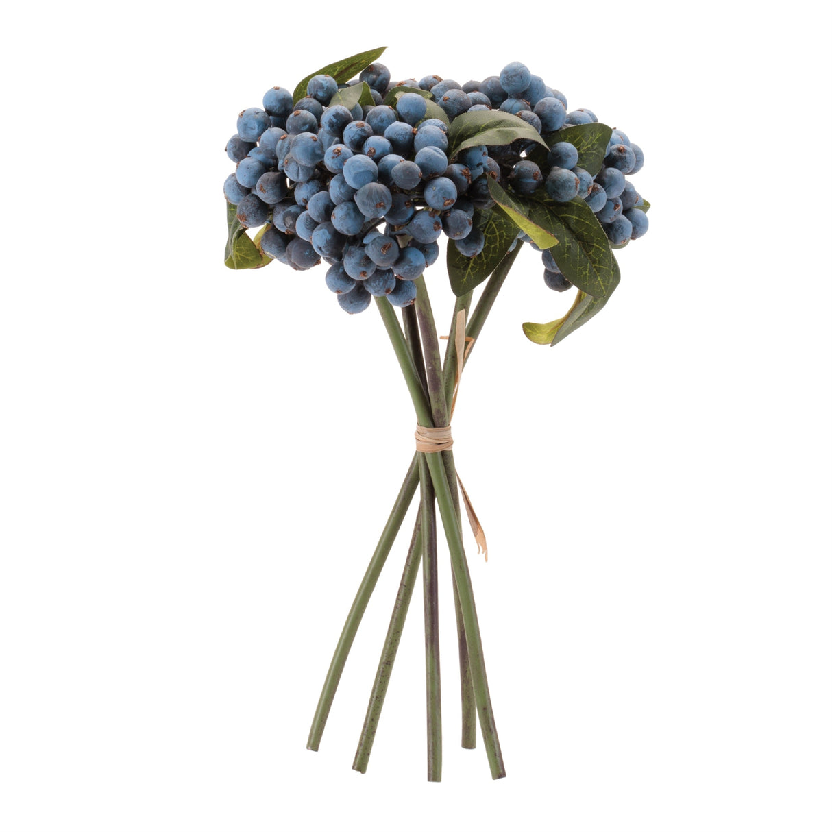 Berry Stem Bundle (Set of 4)