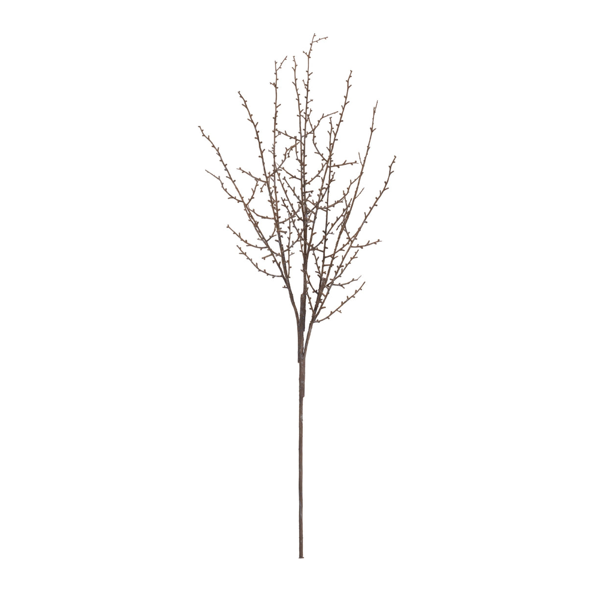 Birch Twig Branch (Set of 6)