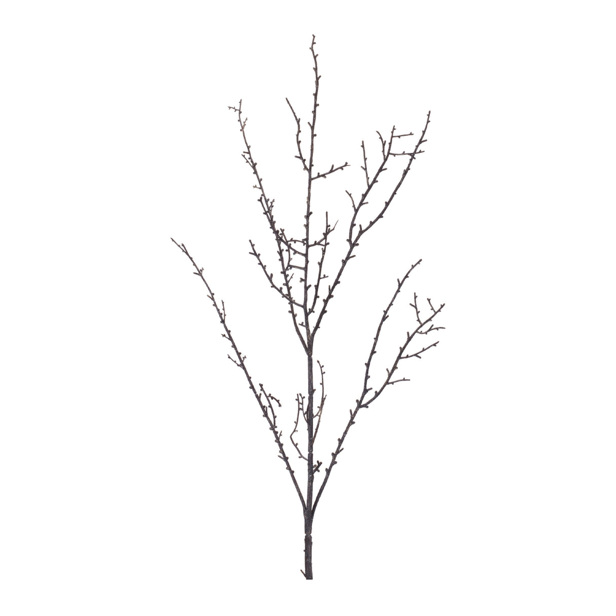 Birch Twig Branch (Set of 6)