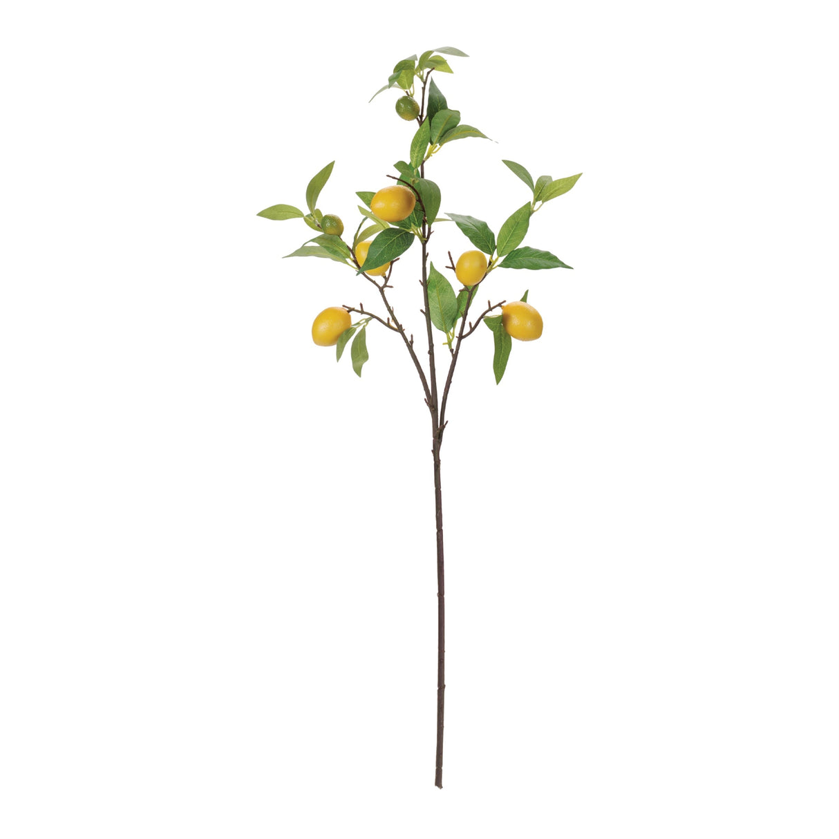Lemon Fruit Foliage Branch (Set of 6)