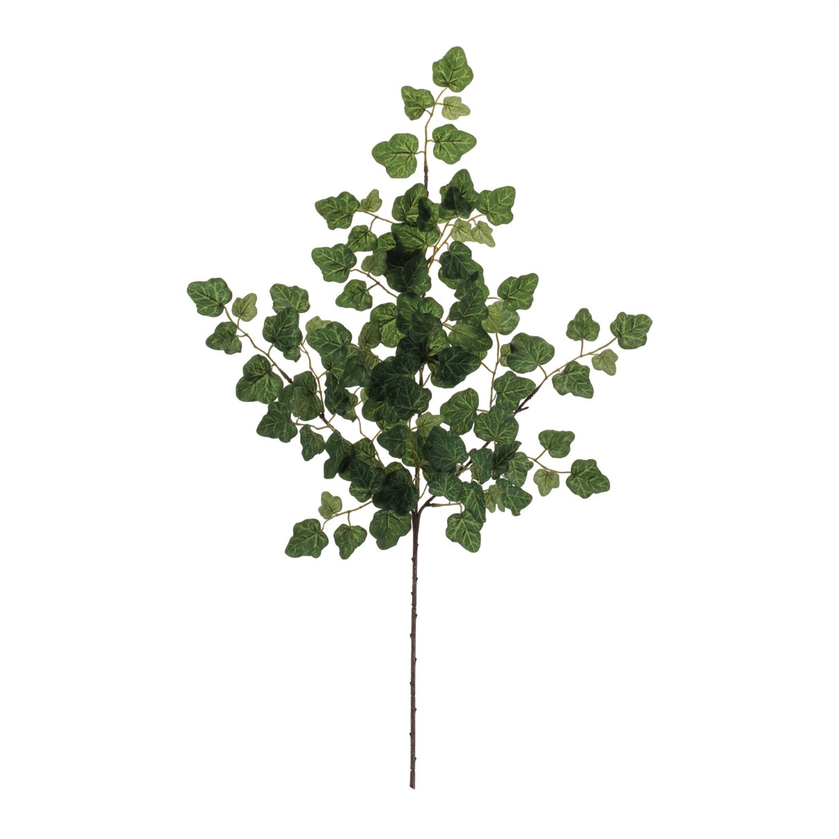 Ivy Foliage Spray (Set of 6)