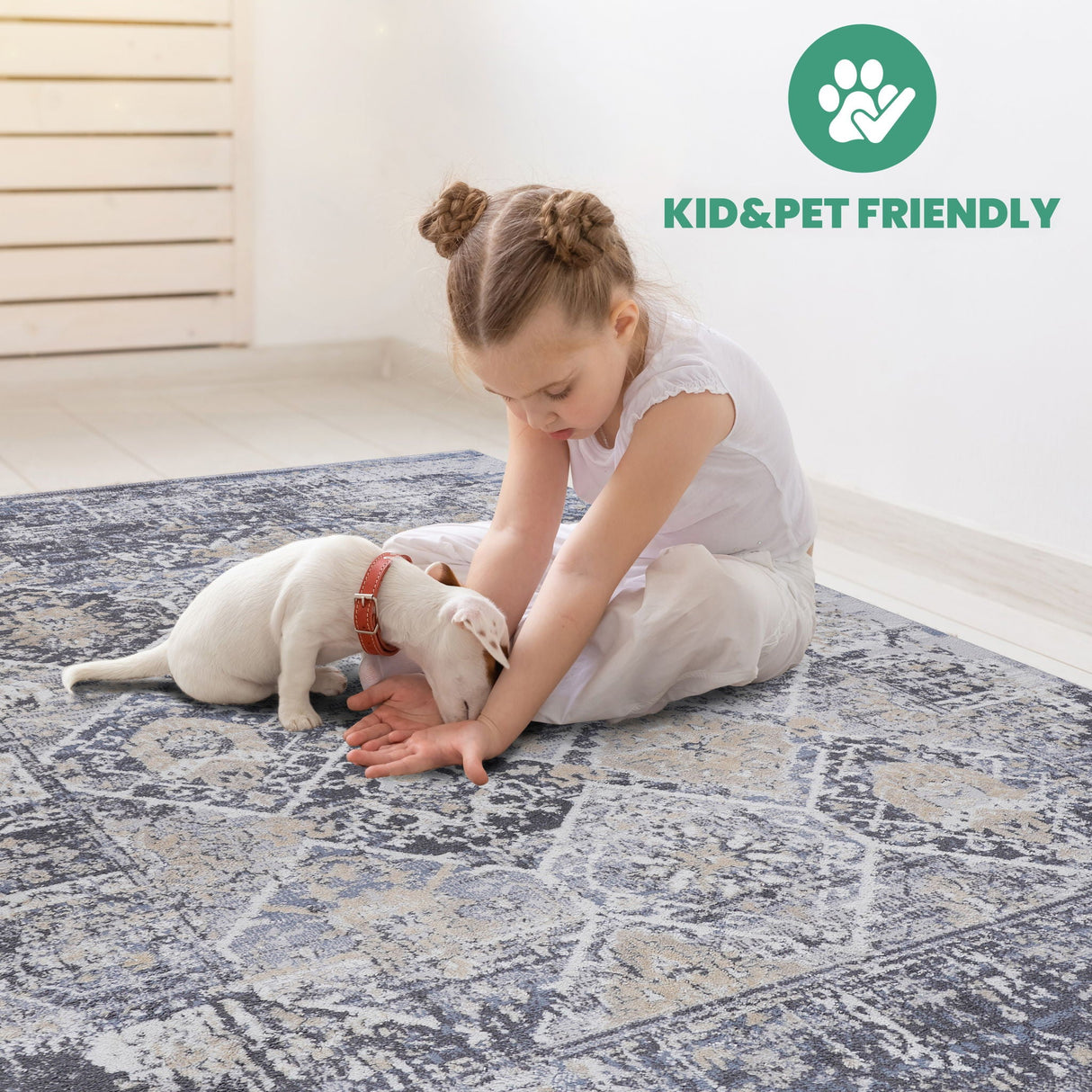 Payas - 6' X 9' Traditional Area Rug - Gray / Blue