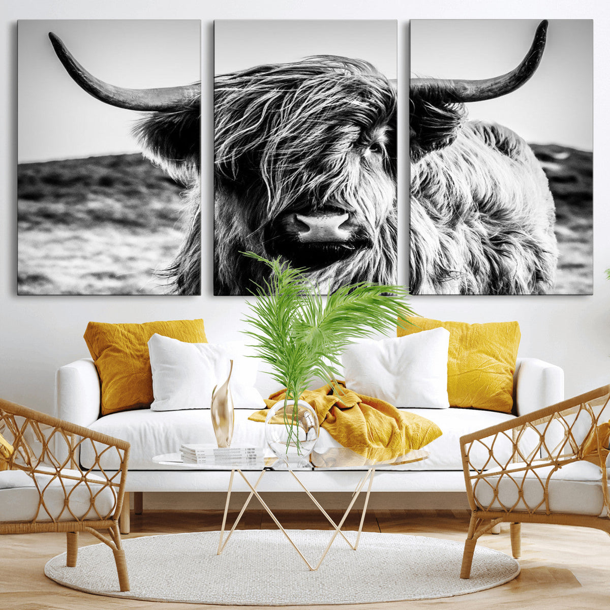 Black and White Scottish Cow Canvas Wall Art Highland Cattle