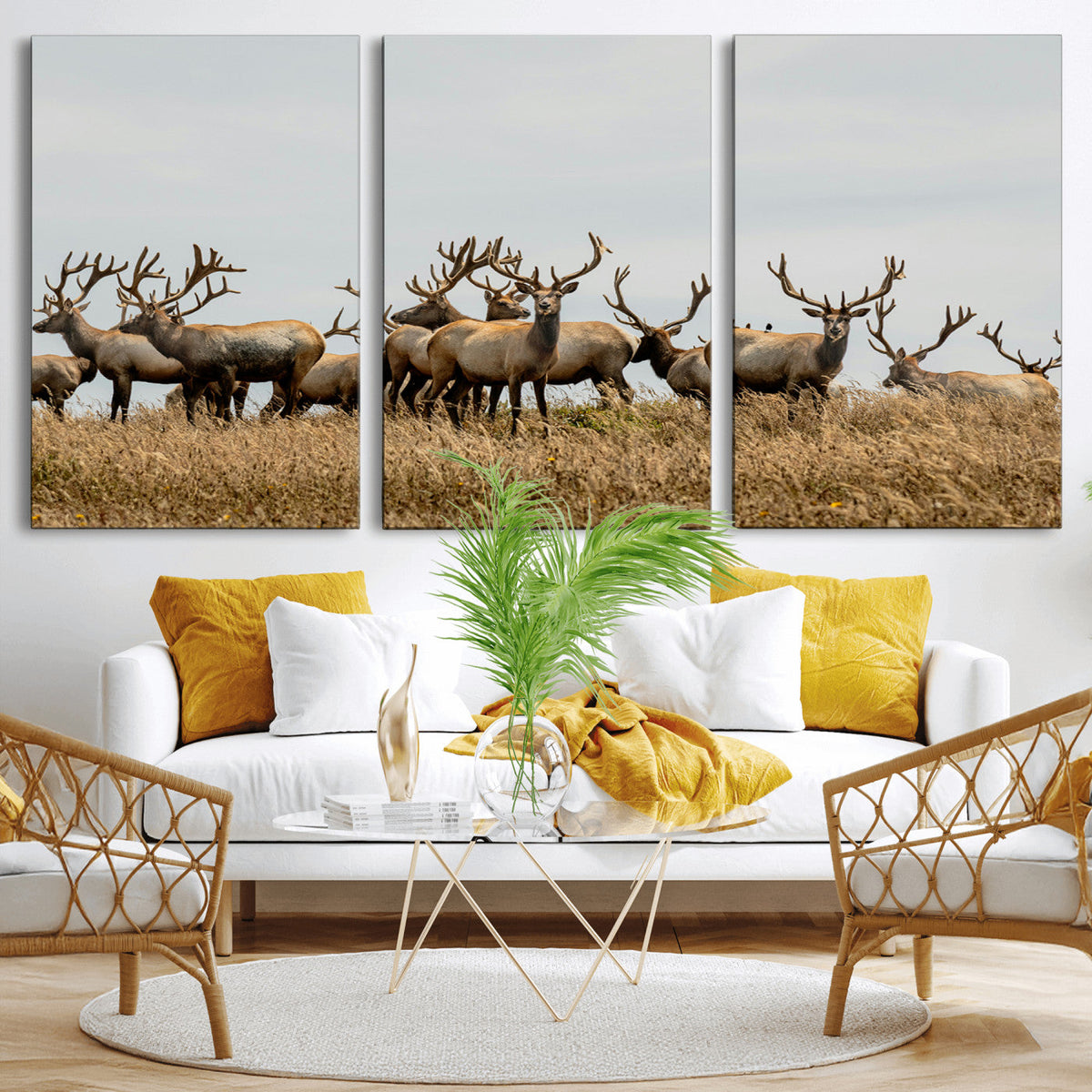 Elk Herd Wall Art Canvas Print – Framed Wildlife Photography