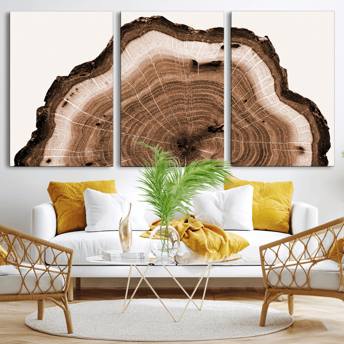Rustic Wood Rings Wall Art | Nature-Inspired Tree Ring