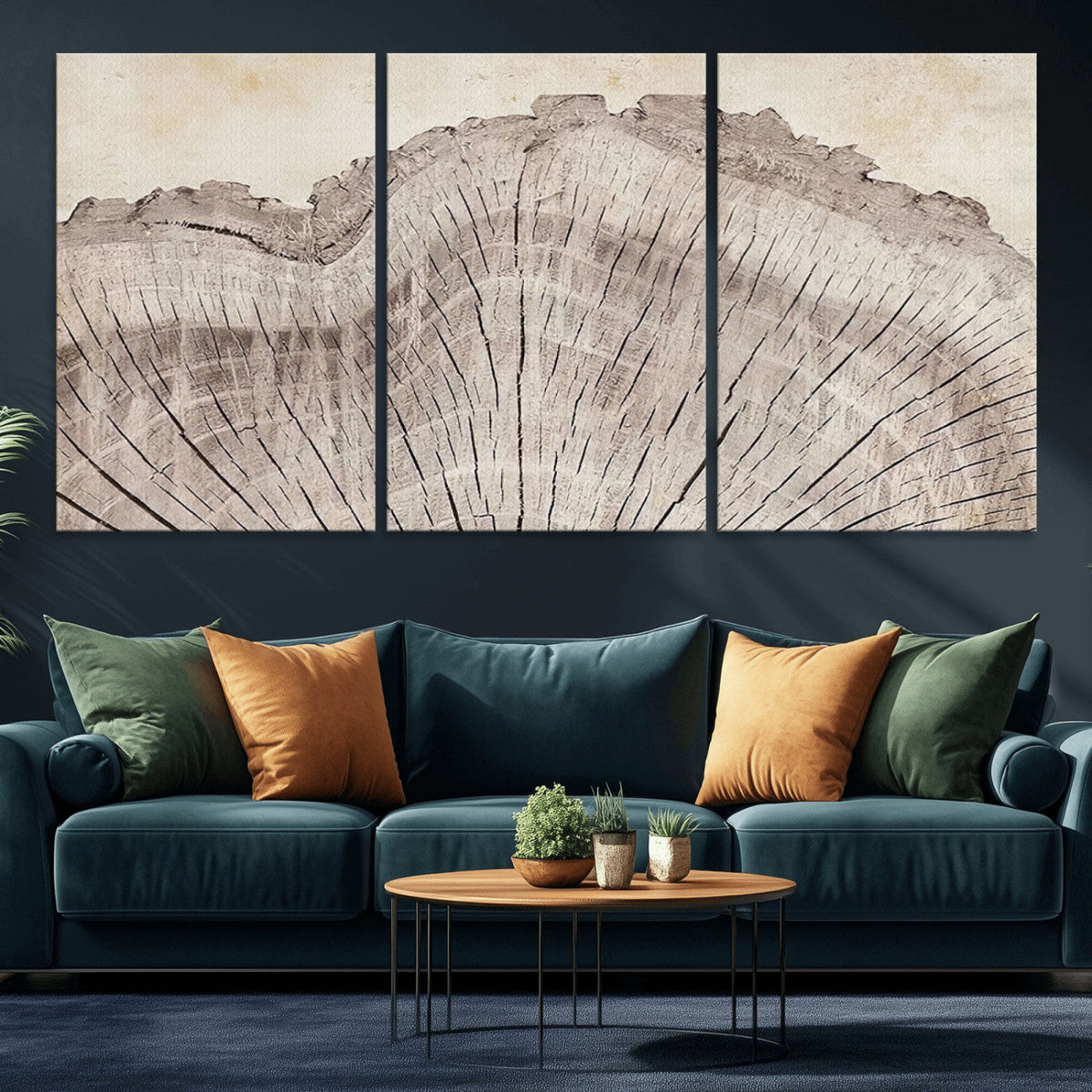 Tree Ring Wall Art Triptych, Rustic Wood Ring Canvas Print,