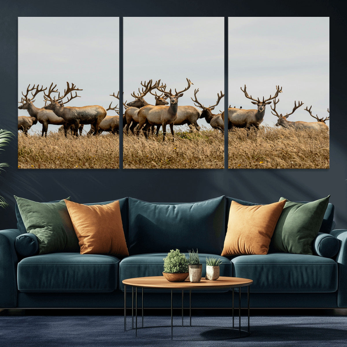 Elk Herd Wall Art Canvas Print – Framed Wildlife Photography