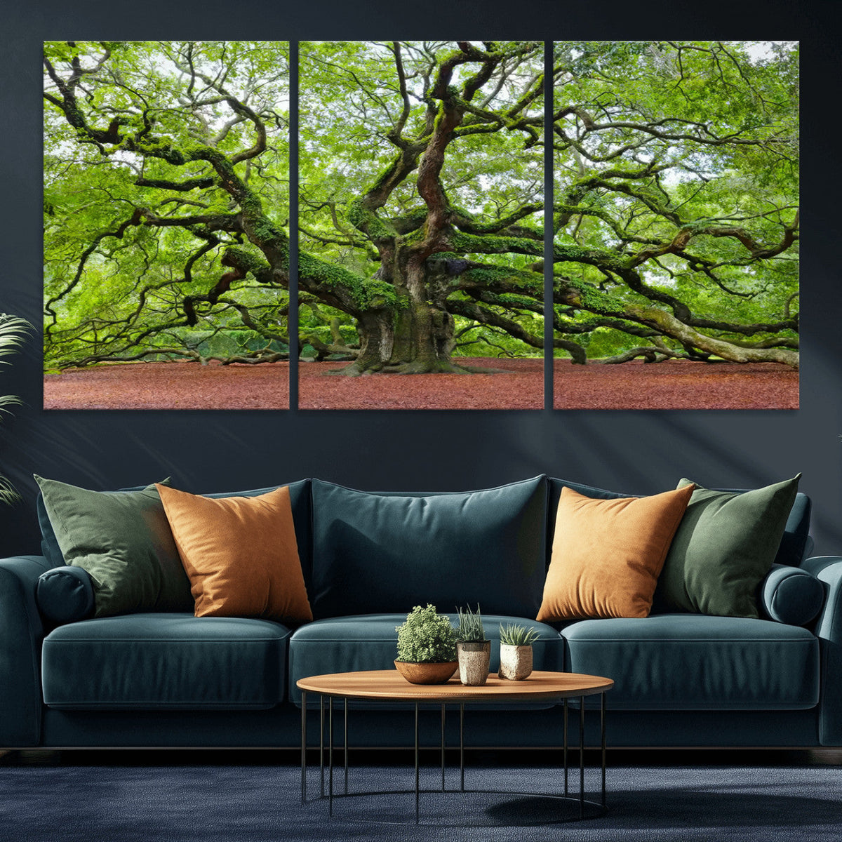 Framed Angel Oak Tree Wall Art - 3-Panel Canvas Prints,