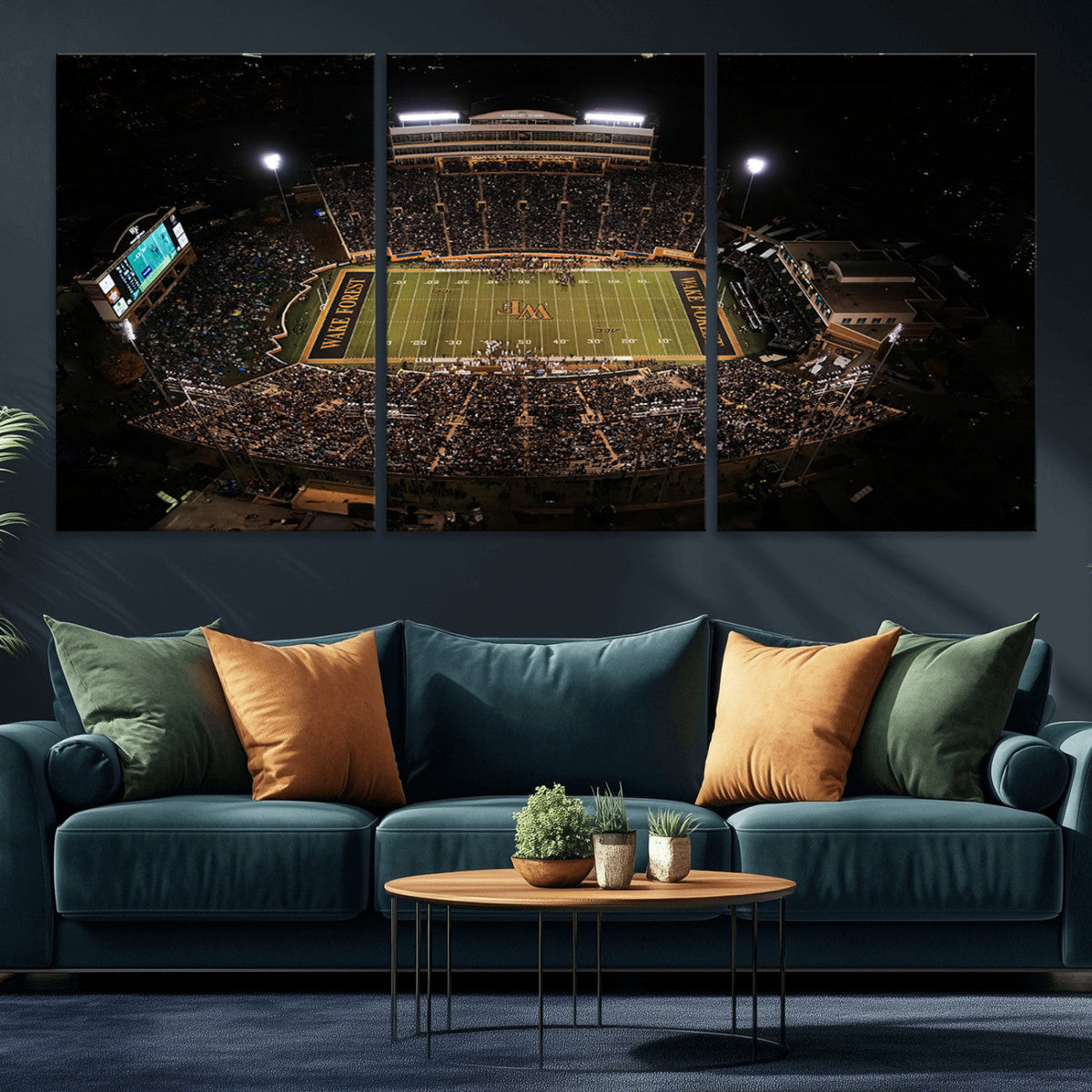 Wake Forest University Demon Deacons Canvas Printi, Football