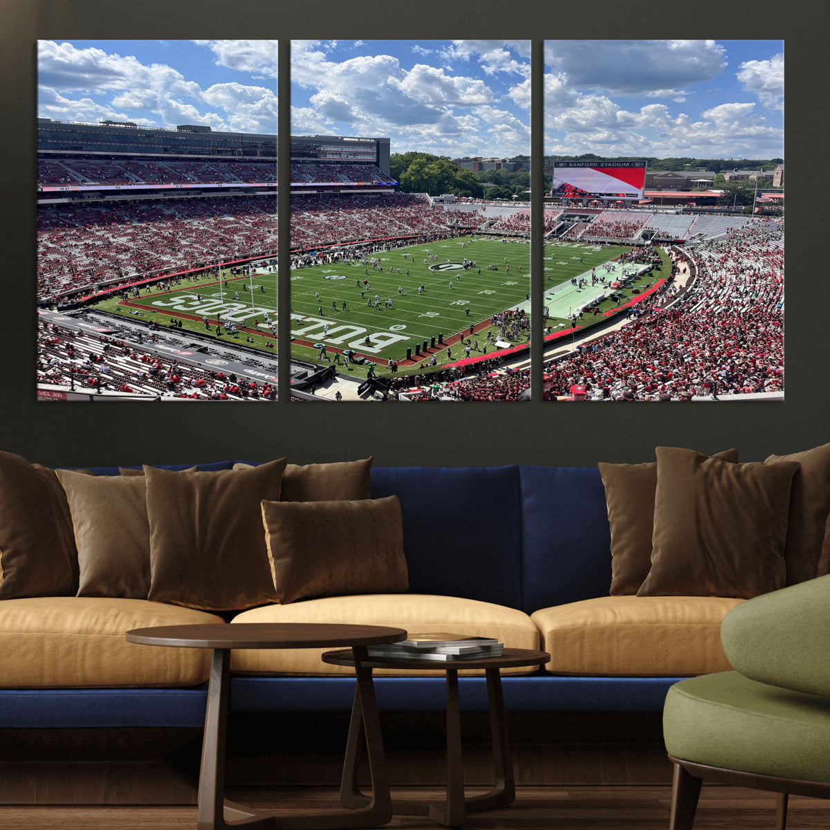 Georgia Bulldogs Stadium Wall Art Canvas Print, Sanford