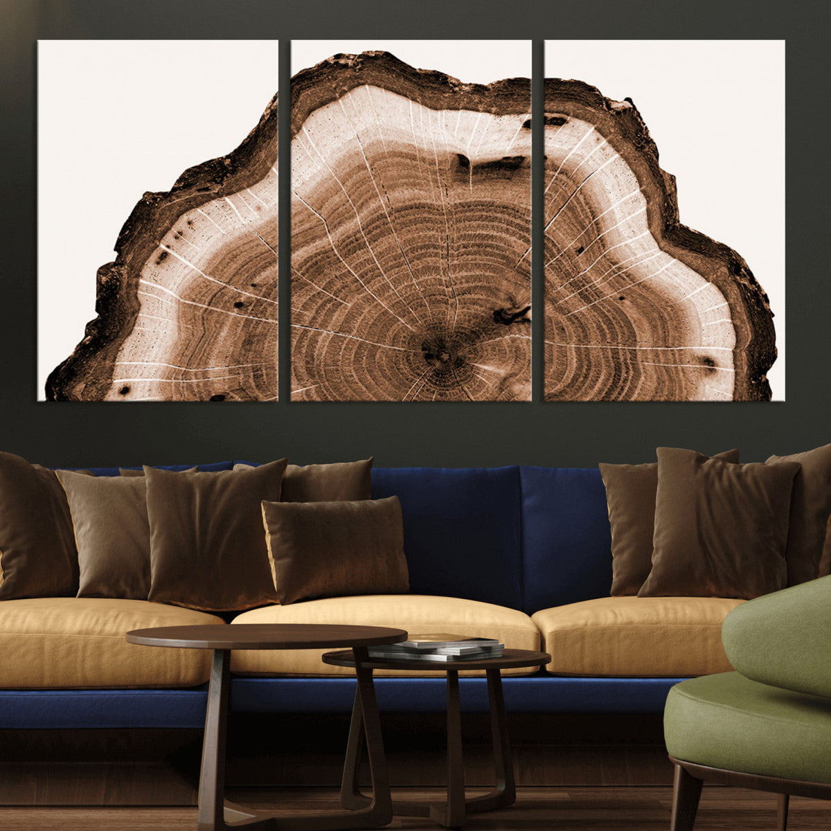 Rustic Wood Rings Wall Art | Nature-Inspired Tree Ring