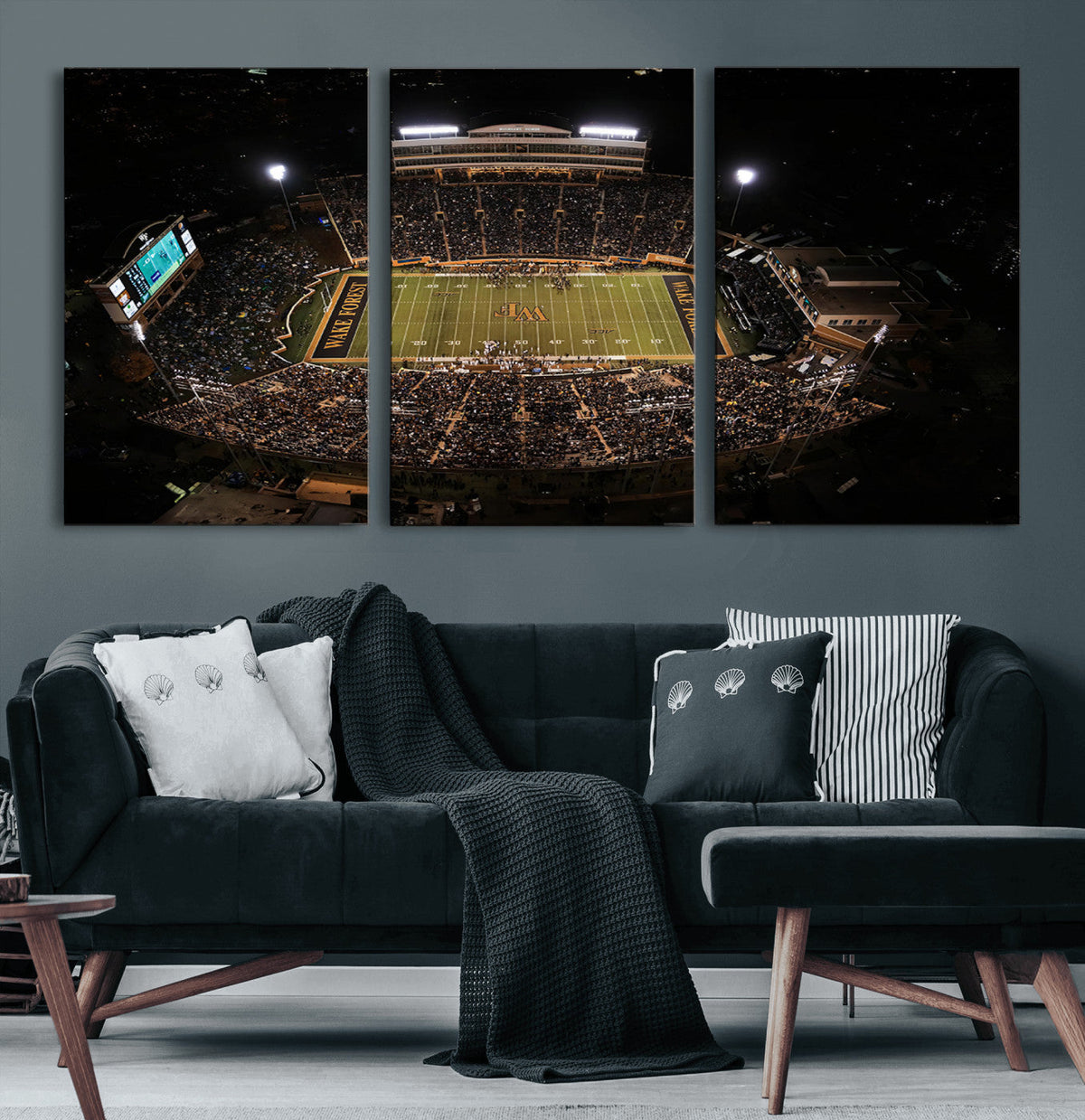 Wake Forest University Demon Deacons Canvas Printi, Football