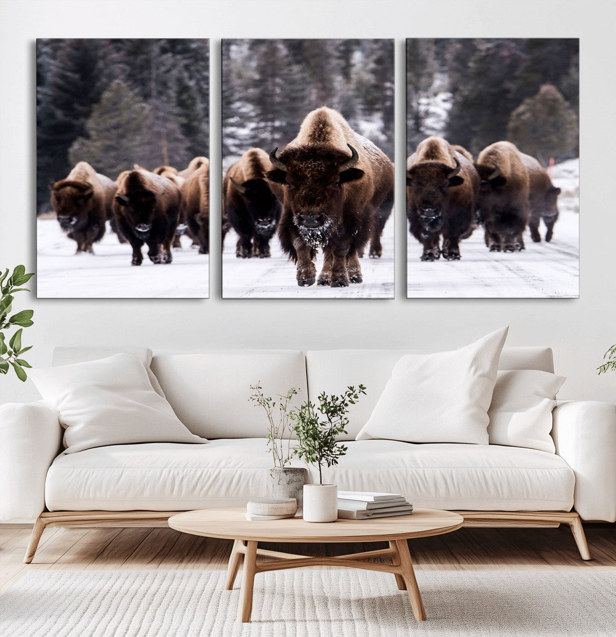 Bison Wall Art Canvas Print- Bison Herd Canvas Wall Art –