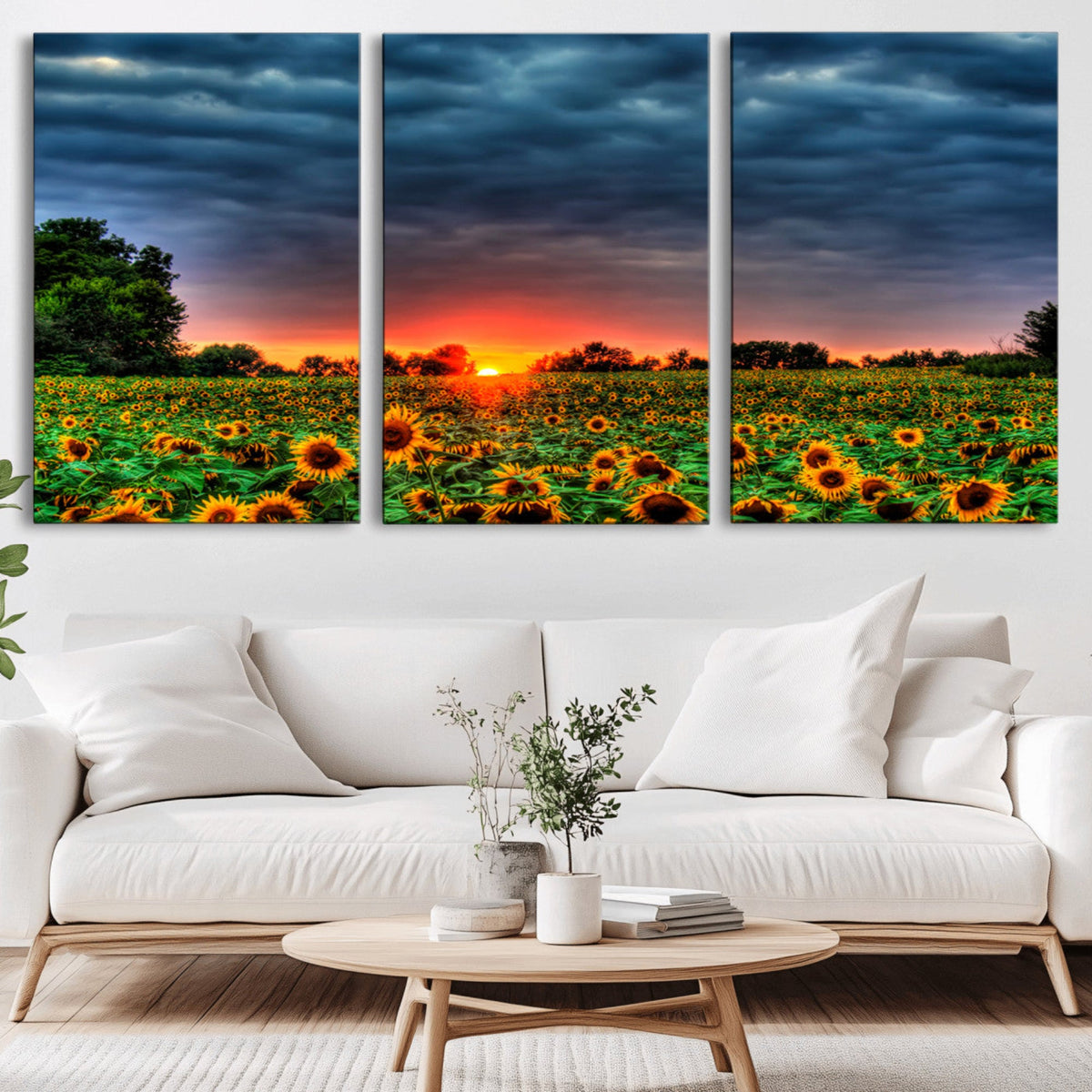 Golden Sunflower Field at Sunset – Breathtaking Sky and