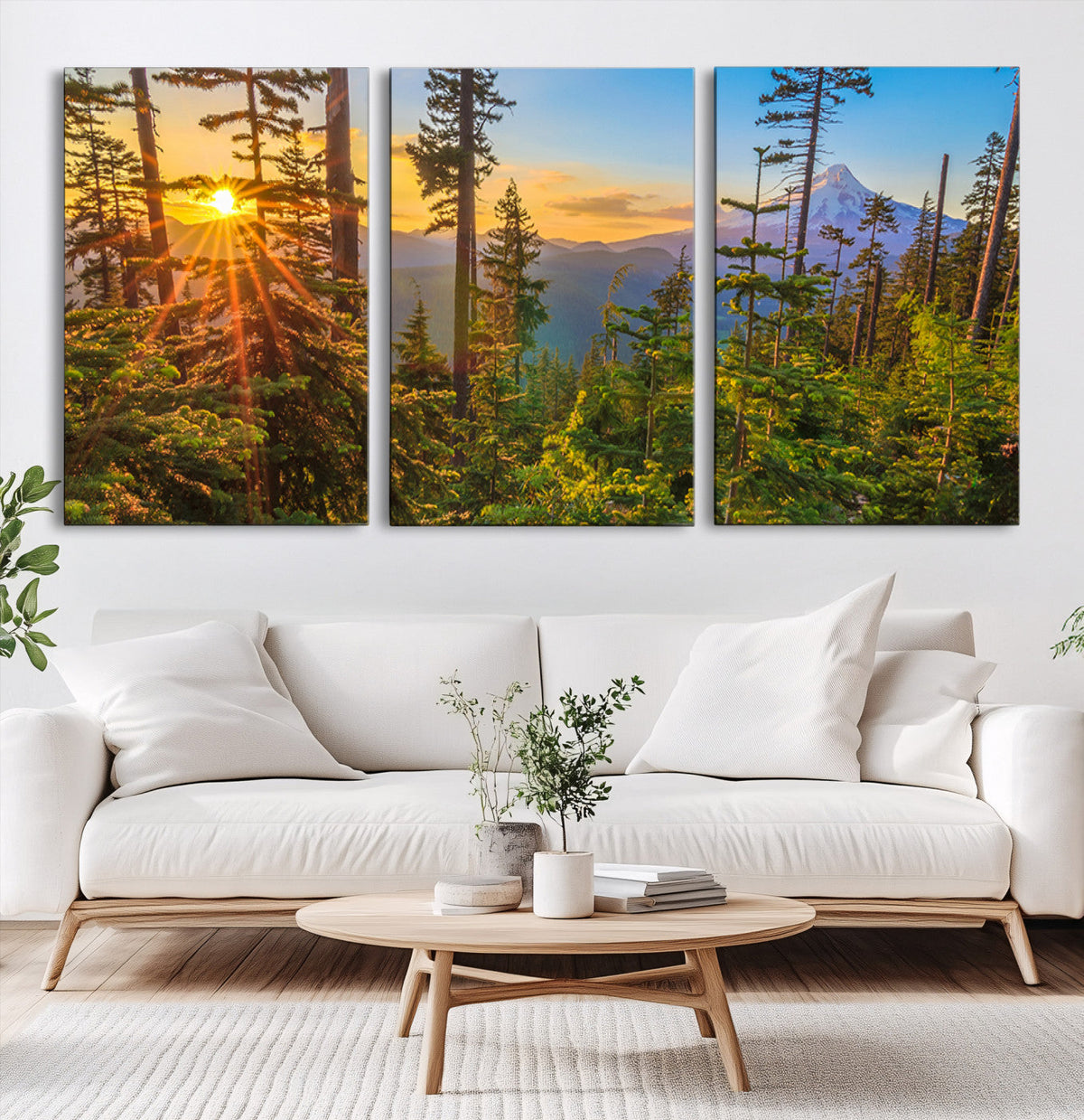 Forest Sunset Wall Art Canvas Print, Glowing Evening Light
