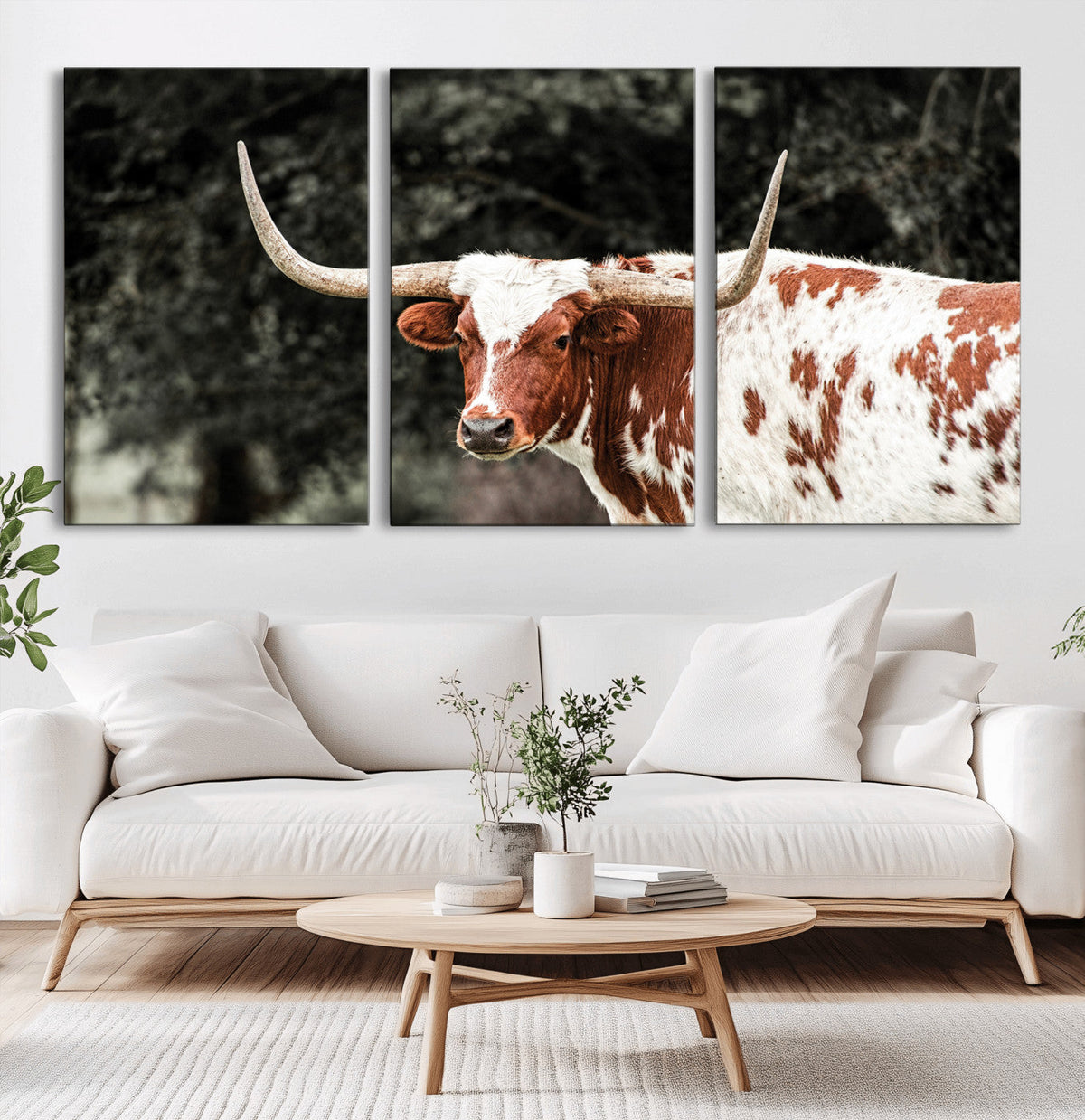 Texas Longhorn Wall Art Canvas Print – Framed Spotted Bull