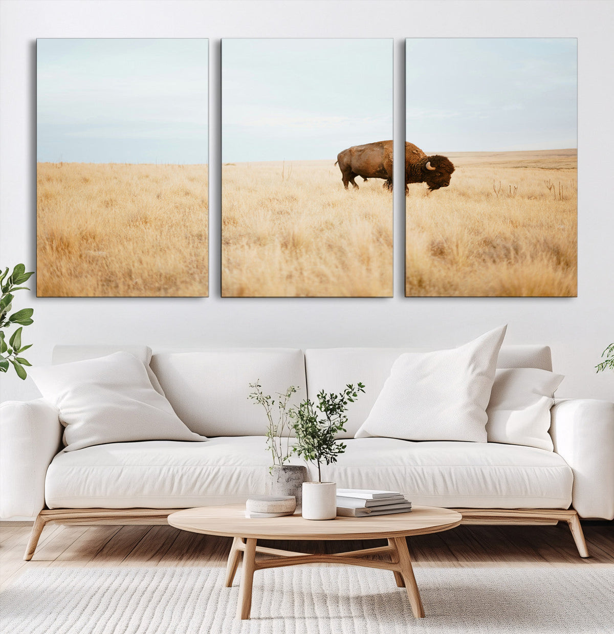 Buffalo Wall Art Canvas Print – Framed Western Wildlife